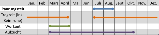 Liniendiagramm der Aktivitäten des Dachses im Jahresverlauf