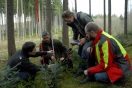 mehrere Menschen hocken und knien im Wald und messen mit einem Messstab eine junge Tanne.