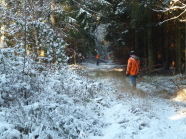 Treiber im verschneiten Wald