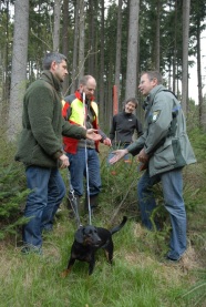 Personen unterhalten sich im Wald mit Hund an der Leine.