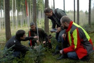 Personen messen junge Bäume im Wald