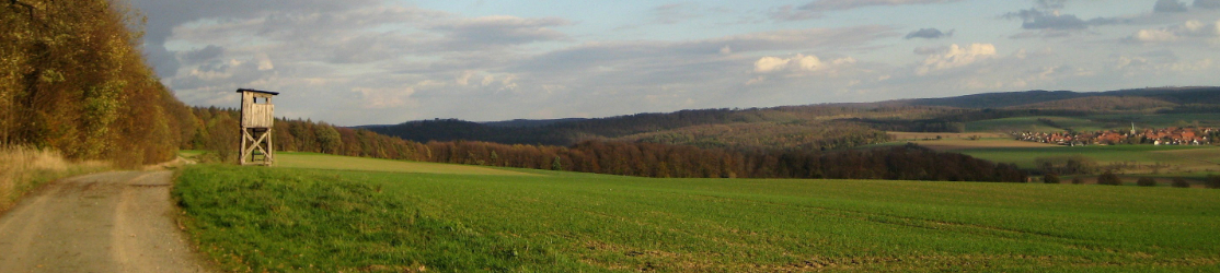 Ein Hochsitz an einem Feld im Herbst mit weitem Blick in die Landschaft.