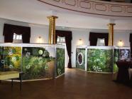 Schautafeln einer Ausstellung in einem Saal mit goldenen Säulen.
