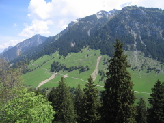 Gebirgslandschaft mit Wald im Sommer. Einzelne Lawinenabgänge sichtbar.