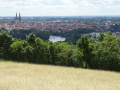 Blick auf Regensburg mit Getreidefeld im Vordergrund