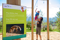 skywalk Allgäu Naturerlebnispark