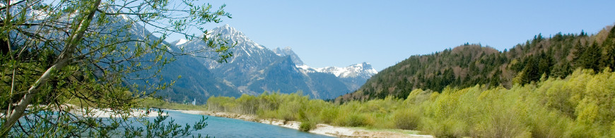 Fluß- und Waldlandschaft mit Alpen
