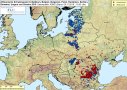 Ausbruchskarte der Afrikanischen Schweinepest (ASP) vom 05.11.2019. (© FLI)