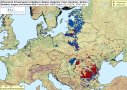 Ausbruchskarte der Afrikanischen Schweinepest (ASP) vom 03.12.2019