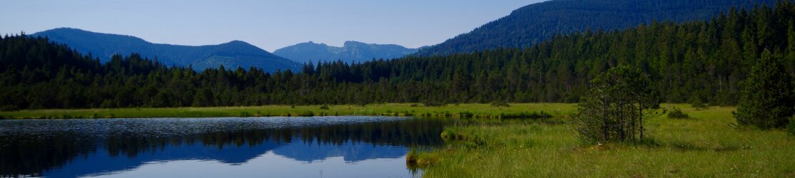 Wildsee Moorsee