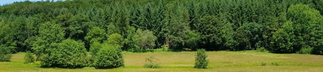 Offenand und Wald Vogelschutzgebiet