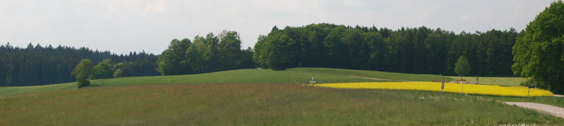 Offene Kulturlandschaft Waldrand