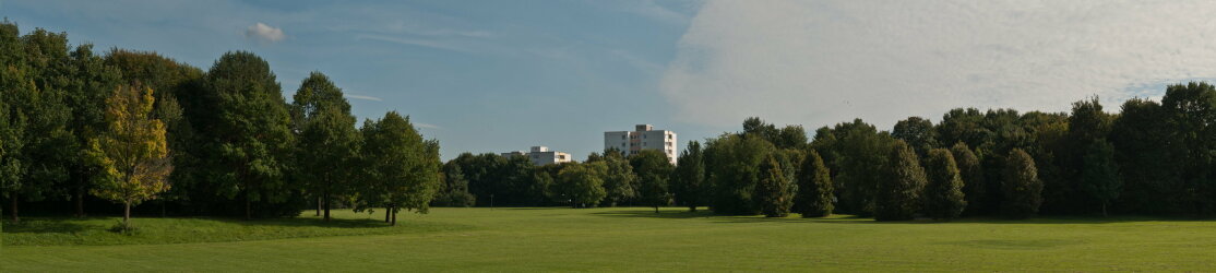 Landschaft Stadtpark München Grünfläche Bäume