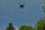 fliegenede Drohne zur Brutbestandserfassung des Graureihers
