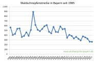 Waldschnepfenstrecke in Bayern seit 1985 bis 2021