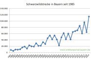 Schwarzwildstrecke in Bayern seit 1985 bis 2019