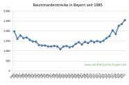 Baummarderstrecke in Bayern von 1985 bis 2021