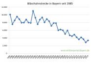 Blässhuhnstrecke in Bayern seit 1985 bis 2019