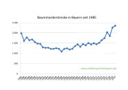 Jagdstrecke Baummarder 2020