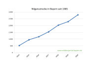 Nilgansstrecke in Bayern seit 2014 bis 2020