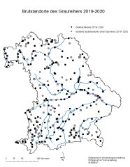 Bayernkarte mit den Brutstandorten des Graureihers 2019-2020