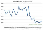 Fasanstrecke in Bayern seit 1985 bis 2019