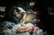 Besenderung Small © Christian Zehner