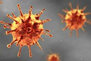 Coronavirus in orange