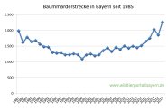 Baummarderstrecke in Bayern seit 1985 bis 2019