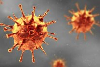 Coronavirus in orange