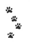 Zeichnung von Pfotenabdrücken einer Wildkatze