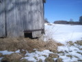 Hütte im Feld mit Einschlupfloch für einen Fuchs