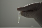 Ein Reagenzglas in Nahaufnahme, gehalten von einer Hand im weißen Gummihandschuh. Im Glas sind DNA-Stränge erkennbar.