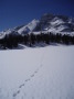 Fährte im Schnee im Gebirge