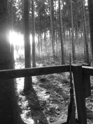 Jagdszene mit Gewehr und Wald, Schwarz-weißes Foto.