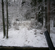 Winterwald mit Gewehr im Vordergrund