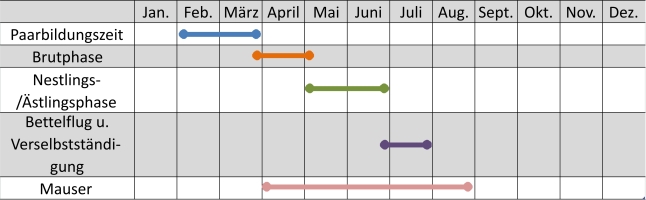 Liniendiagramm der Aktivitäten des Habichts im Jahresverlauf
