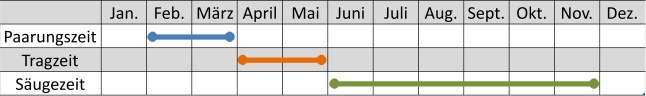 Liniendiagramm der Aktivitäten des Fischotters im Jahresverlauf