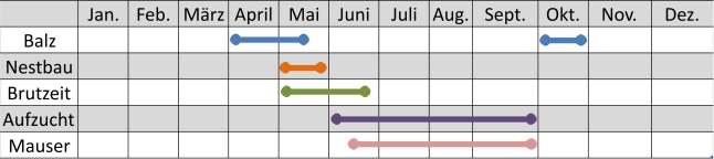 Liniendiagramm der Aktivitäten des Auerwilds im Jahresverlauf