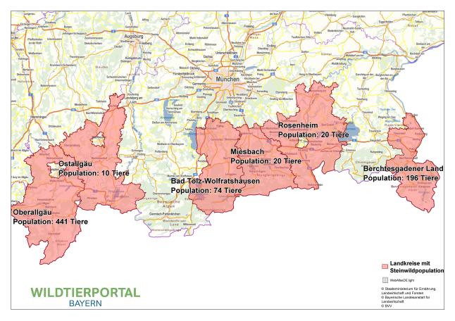 Landkarte Südbayerns mit sechs rot eingefärbten Landkreisen. Rote Landkreise bedeuten, dass es dort Steinwildvorkommen 2016 gibt.