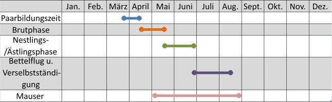 Liniendiagramm der Aktivitäten des Turmfalken im Jahresverlauf