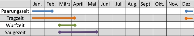 Liniendiagramm der Aktivitäten des Fuchses im Jahresverlauf