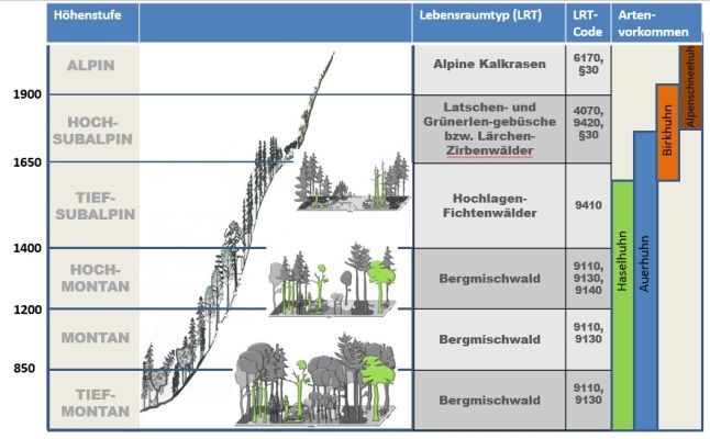 Höhenzonierung der natürlichen Lebensraumtypen