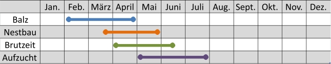 Liniendiagramm der Aktivitäten des Eichhähers im Jahresverlauf