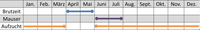 Liniendiagramm der Aktivitäten der Kanadagans im Jahresverlauf