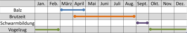 Liniendiagramm der Aktivitäten der Ringeltaube im Jahresverlauf
