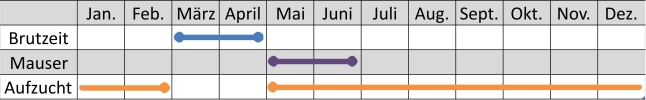 Liniendiagramm der Aktivitäten der Graugänse im Jahresverlauf