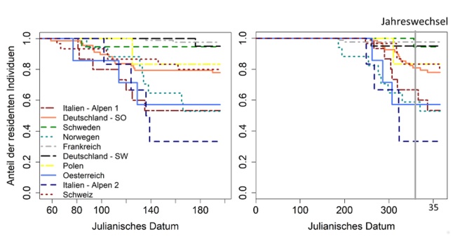 Die Abbildungen zeigen den Anteil der migrierenden GPS-telemetrierten Tiere in jedem Untersuchungsgebiet. Zum Beispiel sieht man in der linken Grafik, dass am Anfang des Jahres noch alle Rehe in ihrem Winterstreifgebiet sind. Nach und nach wandern Tiere der einzelnen Populationen ab, um in ihre Sommerstreifgebiete zu ziehen. In keiner Population wandern alle Tiere und auch in der Italienischen Population mit den meisten migrierenden Rehen sind ca. 30% der Rehe resident. Neben dem Anteil der migrierenden Tiere zeigen die Grafiken also auch die Zeit-punkte der Migration im Jahresverlauf. Die Abbildung auf der linken Seite zeigt die Migrationszeit-punkte der Rehe im Frühjahr und die rechte Grafik zeigt den Migrationszeitpunkt im Herbst. 