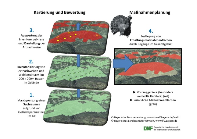 Kartierung_Maßnahmenplanung_Auerhuhn