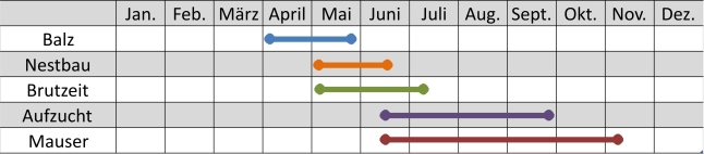 Liniendiagramm der Aktivitäten des Birkwilds im Jahresverlauf